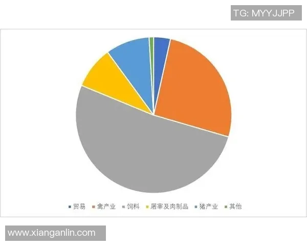 足球明星如何通过多元化收入源提升个人财富全面解析